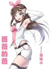 蔷薇的薇笔顺
