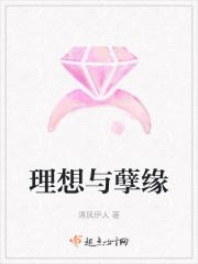 理想与梦境