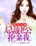 霸道宠婚总裁老公抱紧我小阿情