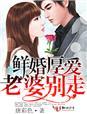 老婆别想逃全文免费阅读全文
