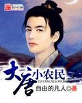 唐朝小农民