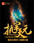 宰执天下主角的官职