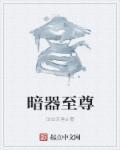 暗器品阶