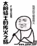 太阳骑士up主