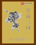 蒸三国满V版攻略
