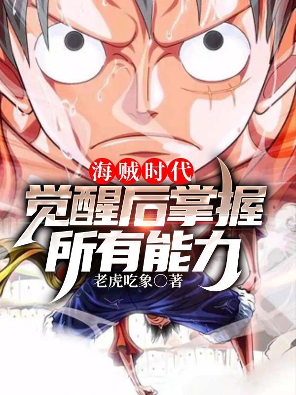 海贼王时代变迁2.0攻略