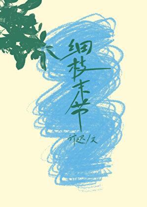 枝节末梢还是细枝末节