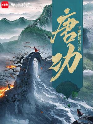 唐功政