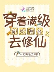 带着满级的游戏角色穿越
