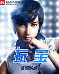 玩宝全文免费阅读