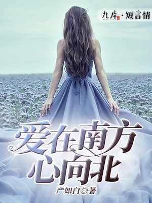 爱在南你在北全文免费阅读