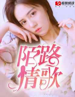 陌路人的歌词