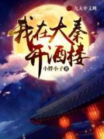 我在大秦开酒楼秦用