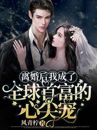 我成了首富格格党