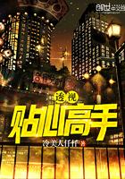极品贴身家丁全文免费阅读笔趣阁