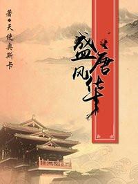 盛唐风华写的好不好
