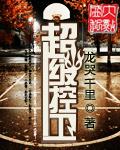 nba超级控卫txt