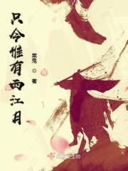 只今惟有西江月什么意思