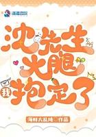 沈先生保镖