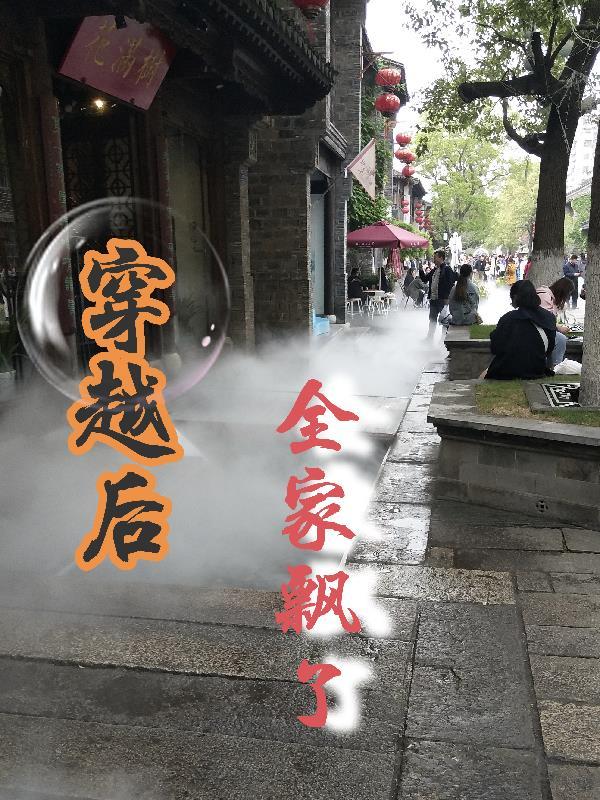 穿越后全家是极品